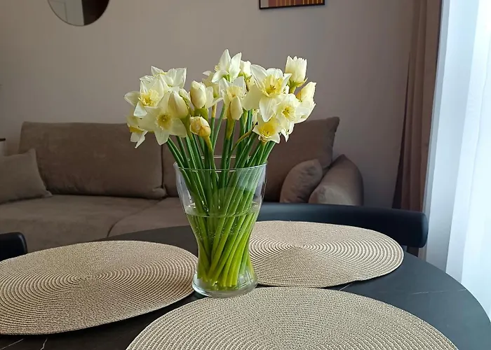 Nowy Bitwy Warszawskiej Siedlce